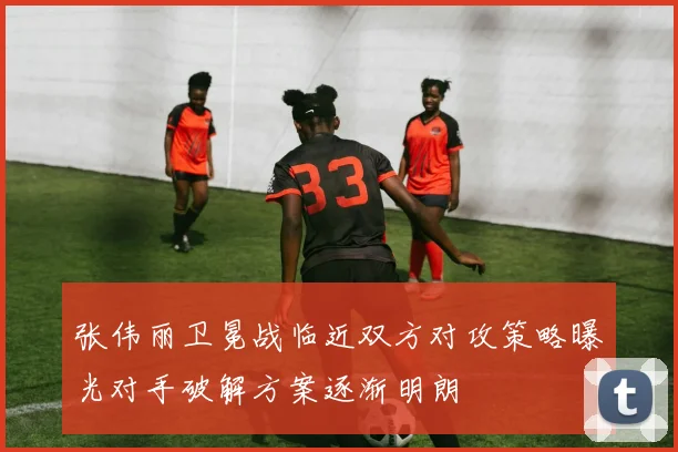 张伟丽卫冕战临近双方对攻策略曝光对手破解方案逐渐明朗